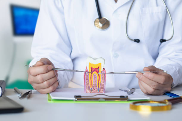 Best Emergency Dentist for Lost Fillings or Crowns in Austell, GA